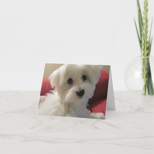 maltesische Mitteilungskarten (Vorderseite)