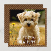 Maltesische neue Welpenkarte Dankeskarte (Vorne/Hinten)