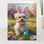 Maltesische Ostereier Karte (Vorderseite)