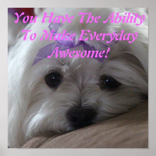 Maltesische Poster-Hund-Fähigkeit Poster (Vorne)