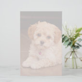 Maltesische Pudelmischung des Babys oder maltipoo Briefpapier (Stehend Vorderseite)