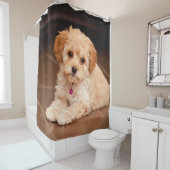 Maltesische Pudelmischung des Babys oder maltipoo Duschvorhang (Beispiel)