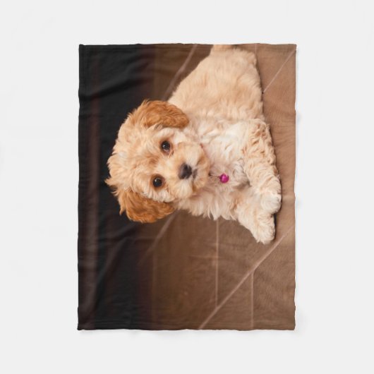 Maltesische Pudelmischung des Babys oder maltipoo Fleecedecke (Vorderseite)