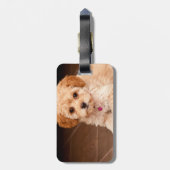 Maltesische Pudelmischung des Babys oder maltipoo Gepäckanhänger (Rückseite vertikal)