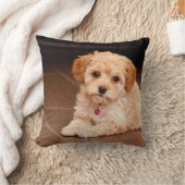 Maltesische Pudelmischung des Babys oder maltipoo Kissen (Decke)