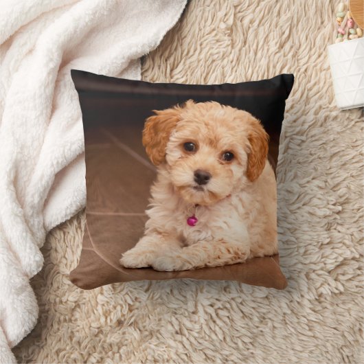 Maltesische Pudelmischung des Babys oder maltipoo Kissen (Decke)