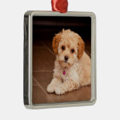 Maltesische Pudelmischung des Babys oder maltipoo Ornament Aus Metall (Rechts)