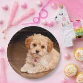 Maltesische Pudelmischung des Babys oder maltipoo Pappteller (Party)