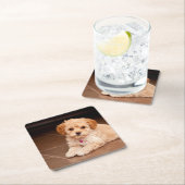 Maltesische Pudelmischung des Babys oder maltipoo Rechteckiger Pappuntersetzer (Vor Ort)