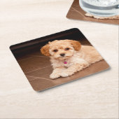 Maltesische Pudelmischung des Babys oder maltipoo Rechteckiger Pappuntersetzer (angewinkelt)