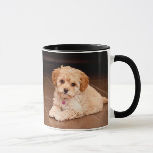 Maltesische Pudelmischung des Babys oder maltipoo Tasse (Rechts)