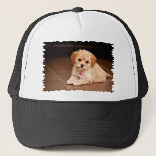 Maltesische Pudelmischung des Babys oder maltipoo Truckerkappe