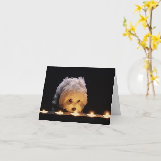 Maltesische Pup Blank Sympathy Card Karte (Gelbe Blume)