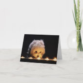 Maltesische Pup Blank Sympathy Card Karte (Vorderseite)