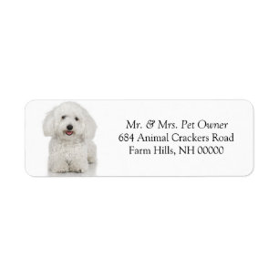 Maltesische Rücksendeadresse Mail Labels Stickers