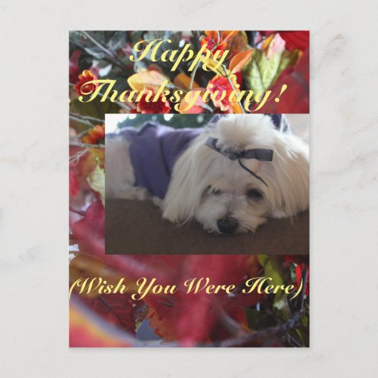 Maltesische Saisons Blätter Design Feiertagspostkarte (Vorderseite)