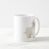 Maltesische Tasse (VorderseiteRechts)