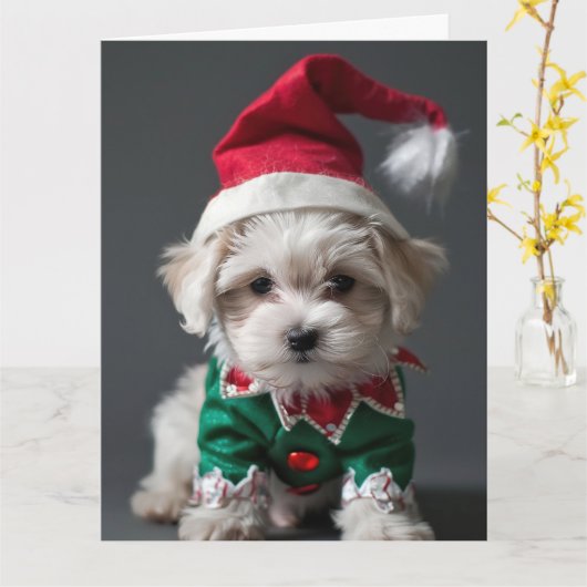 Maltesische Terrier Elf Welppy Christmas Card Karte (Gelbe Blume)