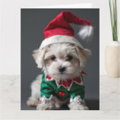Maltesische Terrier Elf Welppy Christmas Card Karte (Vorderseite)