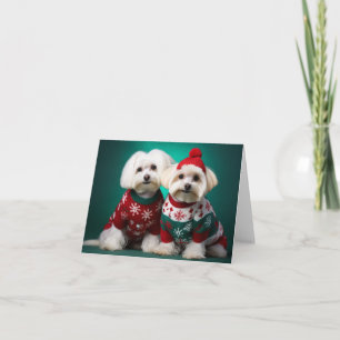 Maltesische Terrier Weihnachtskarte Karte