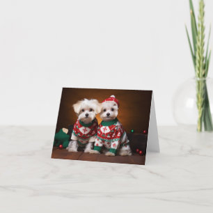 Maltesische Terrier Welpen Weihnachtskarte Karte