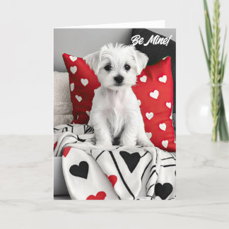 Maltesische Terrier Welppy Valentine Card Dankeskarte