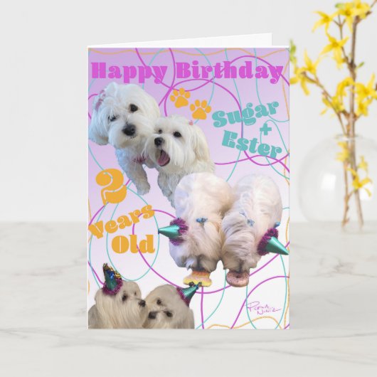 Maltesische Twins Geburtstagskarte Karte (Gelbe Blume)