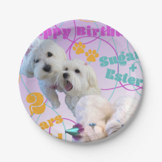 Maltesische Twins-Teller Pappteller