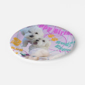 Maltesische Twins-Teller Pappteller (Schrägansicht)