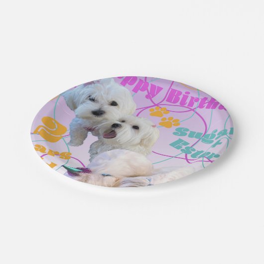 Maltesische Twins-Teller Pappteller (Schrägansicht)