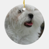 Maltesische Verzierung Keramik Ornament (Hinten)