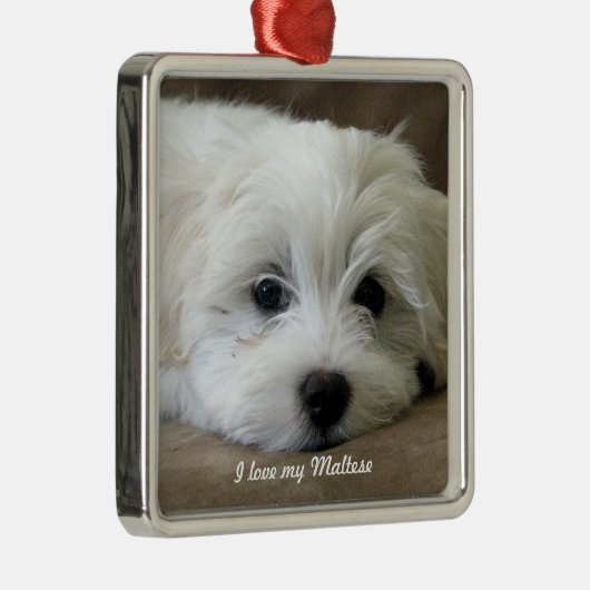 Maltesische Verzierung Silbernes Ornament (Rechts)