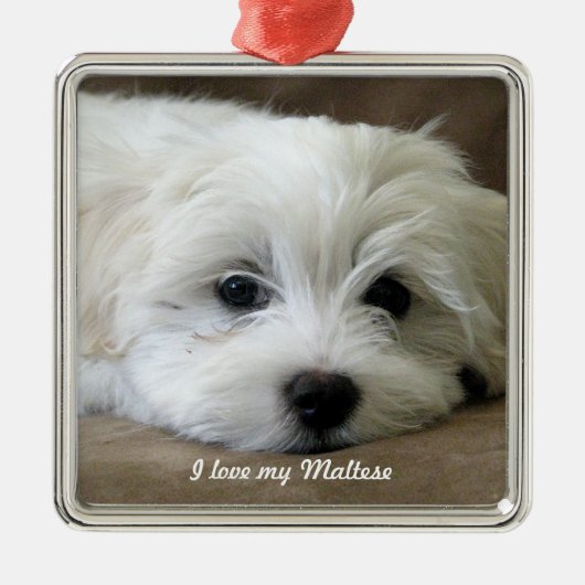 Maltesische Verzierung Silbernes Ornament (Vorne)