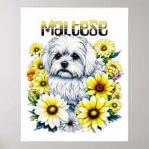 Maltesische Wasserfarbe i Art für Hundebesitzer