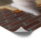 Maltesische Welpe auf Stuhl Hunde Kunst Poster (Ecke)