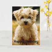 Maltesische Welpe Happy Birthday Grußkarte Karte (Gelbe Blume)