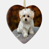 Maltesische Welpe, niedlich und kuschelig Keramik Ornament (Rechts)