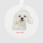 Maltesische Welpe personalisieren Ornament (Vorderseite)