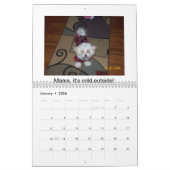 Maltesische Welpen Kalender (Jan 2026)