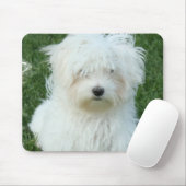 Maltesische Welpen-Mausunterlage Mousepad (Mit Mouse)