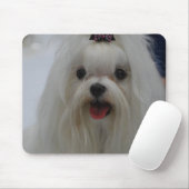 Maltesische Welpen-Mausunterlage Mousepad (Mit Mouse)