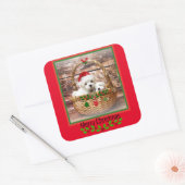 Maltesische Welpen Weihnachtsgestaltung Quadratischer Aufkleber (Umschlag)