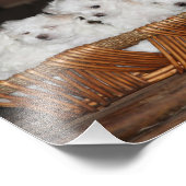 Maltesische Welpen, Welpen, Hunde, Kunst Fotodruck (Ecke)