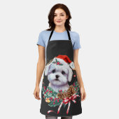 Maltesische Welpenweihe, maltesischer Hund Schürze (Getragen)