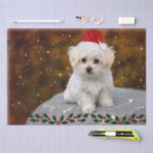 Maltesische Welpenweihnachtszeit, niedlich und kus Seidenpapier (Handwerk)