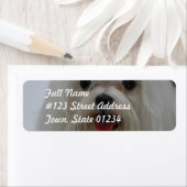 Maltesische Welppy-Mailing-Labels (Insitu)