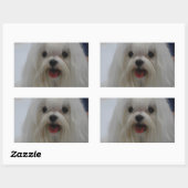 Maltesische Welppy-Stickers Rechteckiger Aufkleber (Blatt)