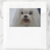 Maltesische Welppy-Stickers Rechteckiger Aufkleber (Tasche)