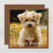 Maltesische Welppy Sympathy Card Dankeskarte (Vorne/Hinten)