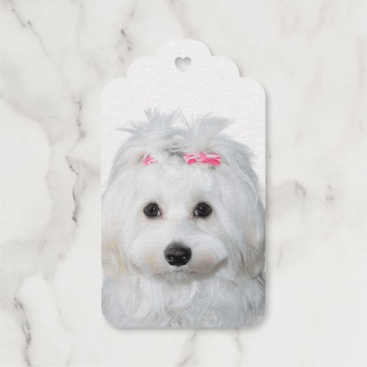 Maltesischer Angel für Süßigkeit bei Paws Geschenkanhänger (Rückseite)